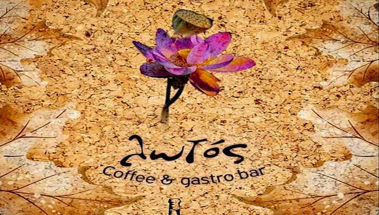Λωτός Coffee & GastroBar, Γιαννιτσά